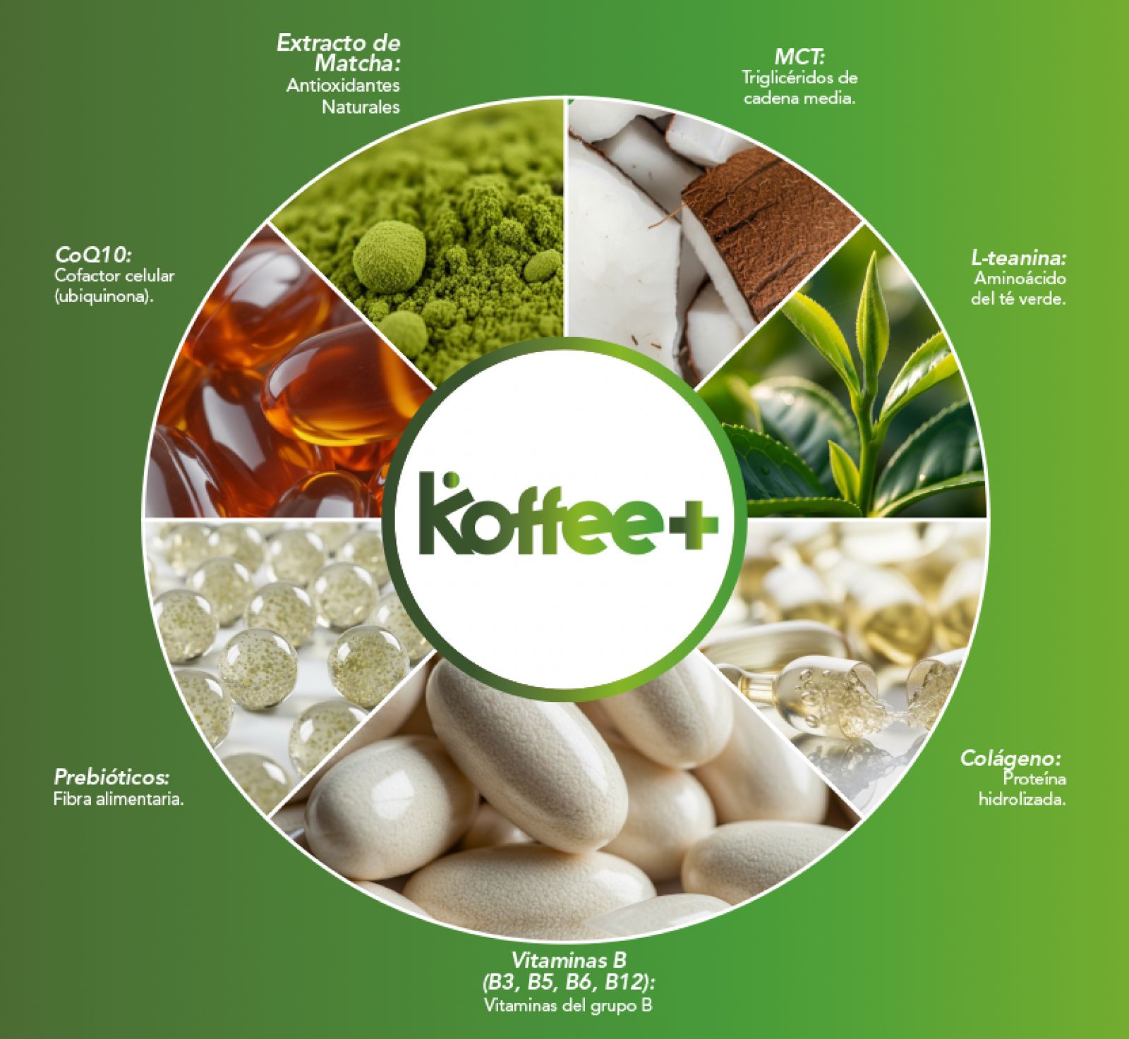 3 PACK KOFFEE+: CAPUCCINO, MATCHA Y VAINILLA